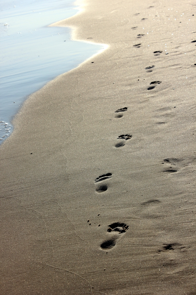 Leave No Trace on Your Next Beach Trip - Leave Only Footprints