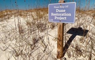 Dune Restoration Project Sign