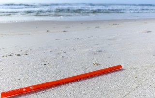 plastic straw on beach