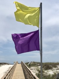 Fialová vlajka na pláži Gulf Shores Orange