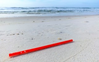 plastic straw on beach