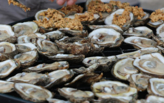 oysters from Alabama Gulf Coast