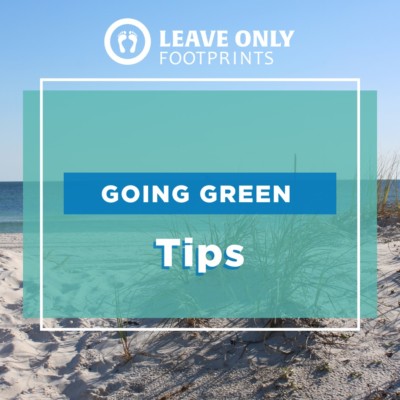 tips for going green