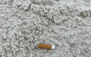 A cigarette on the ground Description automatically generated with medium confidence