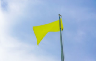 A yellow and green flag on a pole Description automatically generated with medium confidence