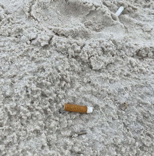 A cigarette on the ground Description automatically generated with medium confidence