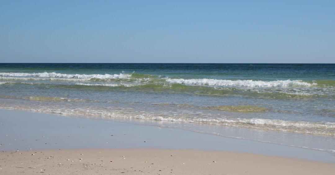 A close-up of a beach Description automatically generated