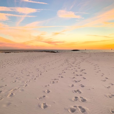 Footprints in the sand Description automatically generated